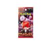 Pokemon Glory Of Team Rocket Booster